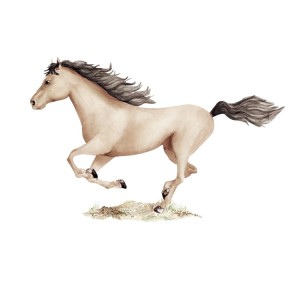 Koń karmelowy 2.jpg