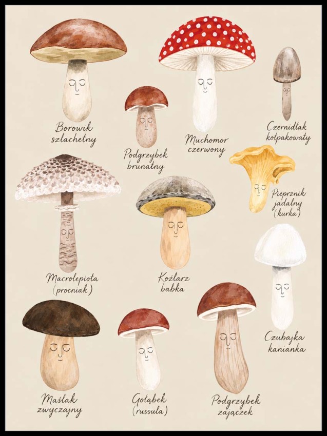 Plakat Edukacyjny Grzyby- Plakaty Na Ścianę Dla Dzieci - gatunki