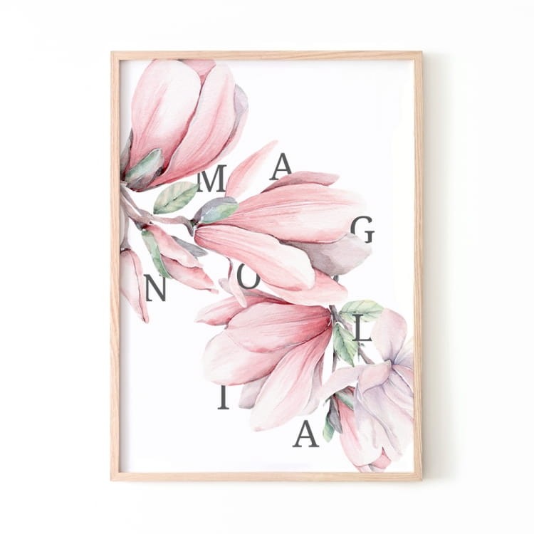 Magnolia II.jpg