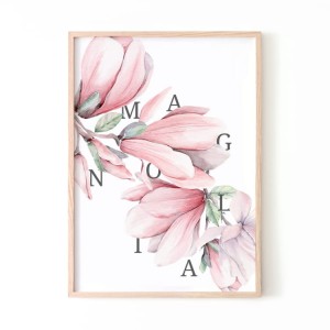 Magnolia II.jpg