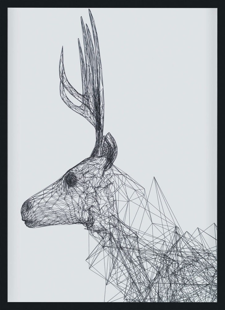 plakat deer.jpg