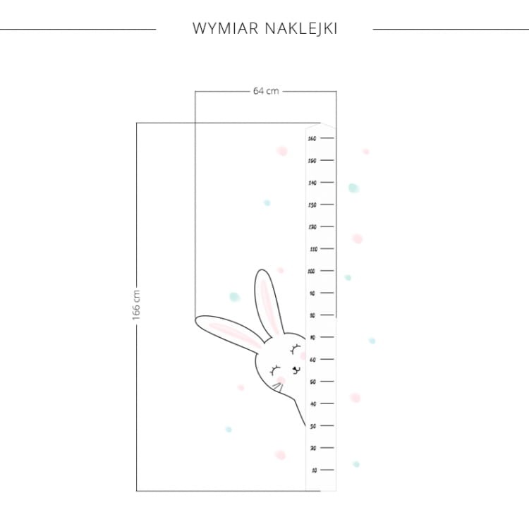 miastka wzrostu królik 2.jpg