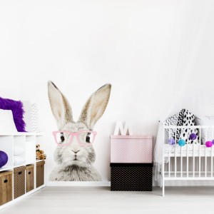 Królik w okularach.jpg