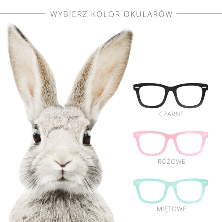 Królik w okularach 2.jpg