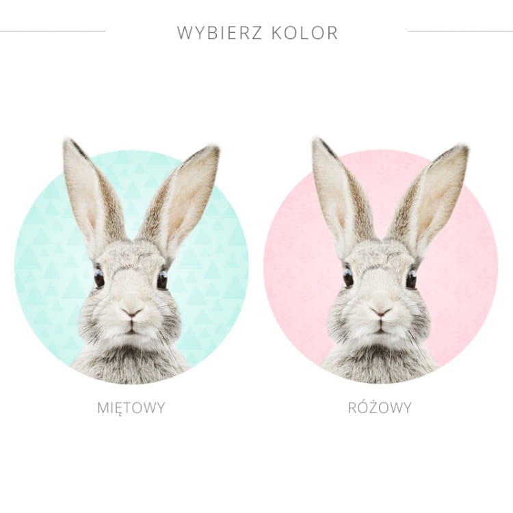 Królik w kółku 2.jpg