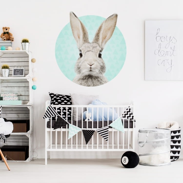 Królik w kółku 1.jpg