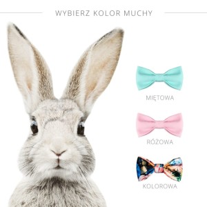 Królik z muchą 2.jpg