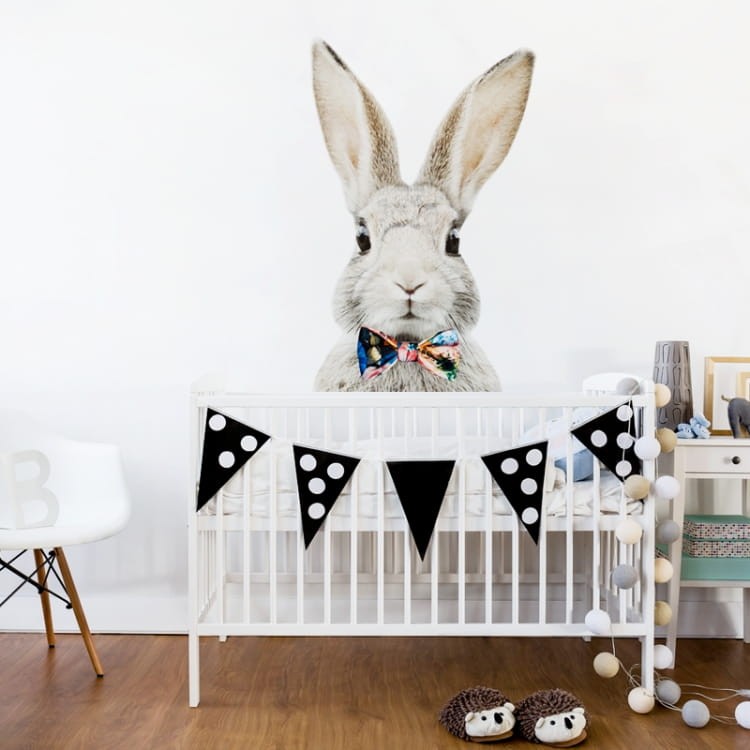 Królik z muchą.jpg