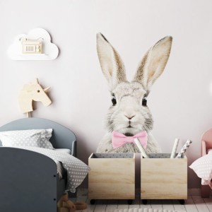 Królik z muchą 1.jpg