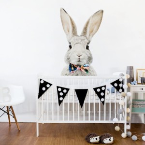 Królik z muchą.jpg