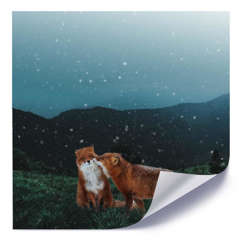 pol_pl_Plakat-Lisi-pocalunek-57908_1 (1).jpg