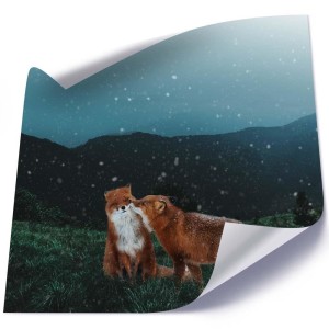 pol_pl_Plakat-Lisi-pocalunek-57908_2.jpg