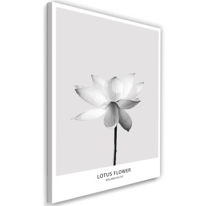 pol_pl_obraz-plotno-XXL-Lotus-Mural-Art-Natura-kwiat-streszczenie-szary-80x120-cm-34549_1.jpg