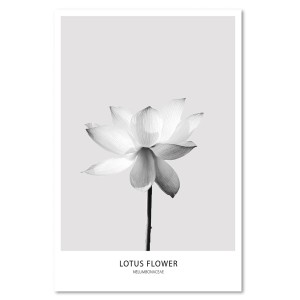 pol_pl_obraz-plotno-XXL-Lotus-Mural-Art-Natura-kwiat-streszczenie-szary-80x120-cm-34549_2.jpg