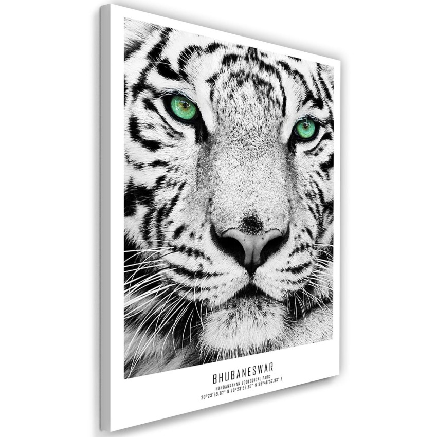 pol_pl_Obraz-na-plotnie-Canvas-bialy-tygrys-34498_1.jpg
