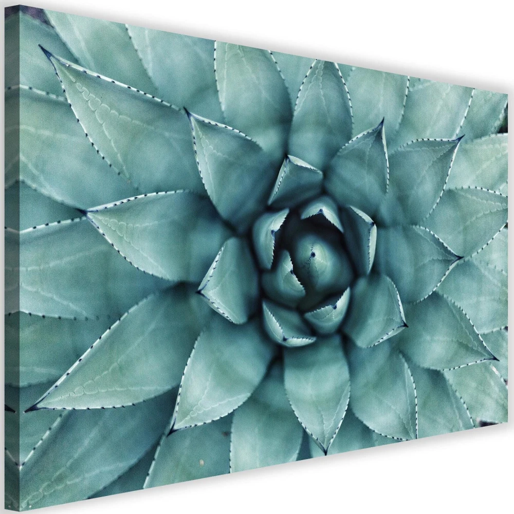 pol_pl_Obraz-na-plotnie-Canvas-niebieski-aloe-34731_1.jpg
