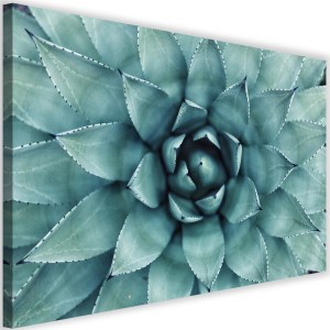 pol_pl_Obraz-na-plotnie-Canvas-niebieski-aloe-34731_1.jpg