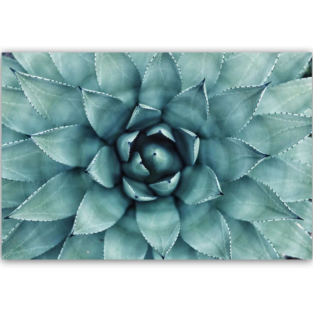 pol_pl_Obraz-na-plotnie-Canvas-niebieski-aloe-34731_2.jpg