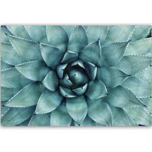 pol_pl_Obraz-na-plotnie-Canvas-niebieski-aloe-34731_2.jpg