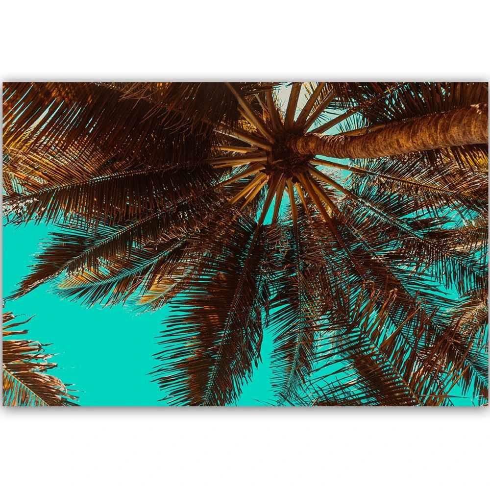 pol_pl_Obraz-na-plotnie-Canvas-Palma-na-turkusowym-niebie-37970_2.jpg
