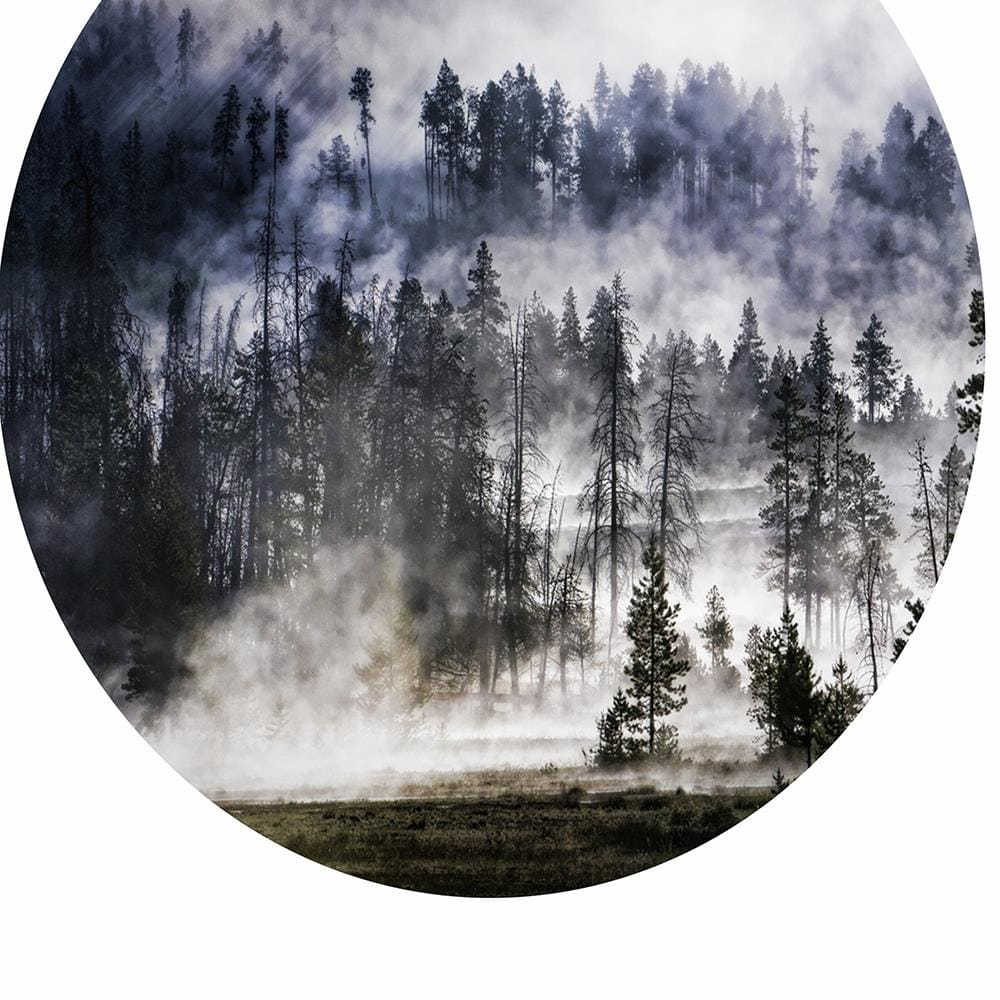 pol_pl_Obraz-na-plotnie-Canvas-las-w-dymie-34428_4.jpg