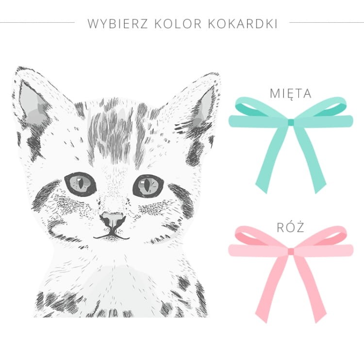 kot z kokarda 3.jpg