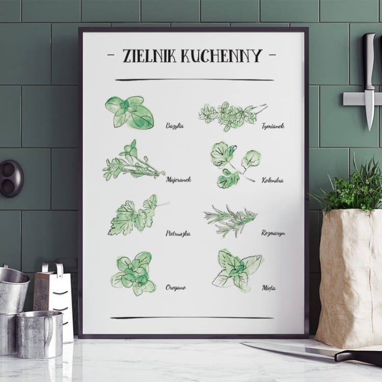zielnik.jpg