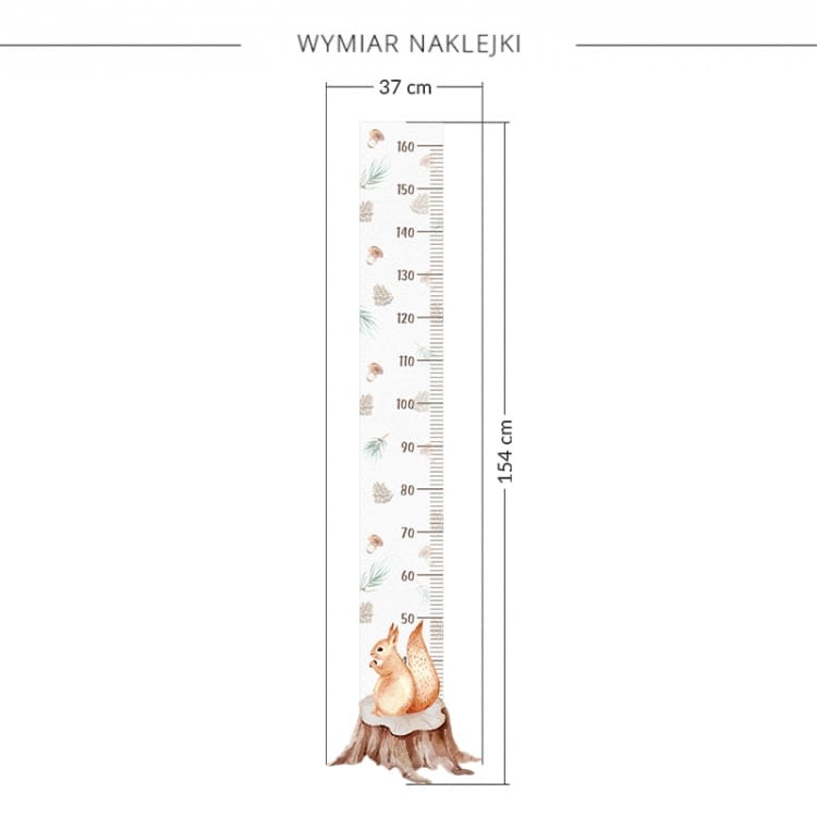 Miarka wiewiórka 2.jpg