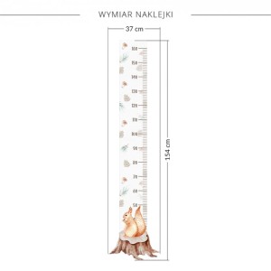 Miarka wiewiórka 2.jpg