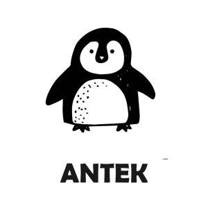 PINGWIN Z IMIENIEM.jpg